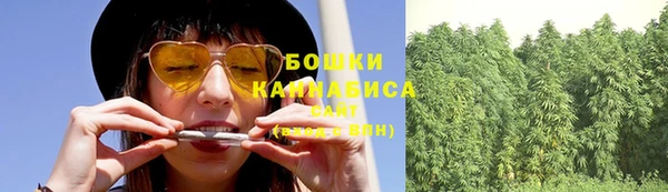 амф Майский