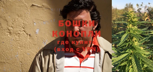 крисы Медногорск