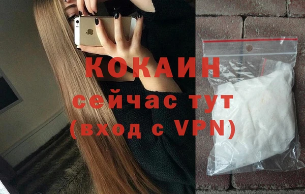 гидра Мегион