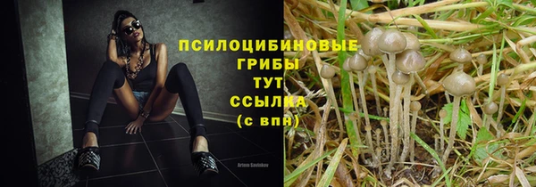 дживик Медвежьегорск
