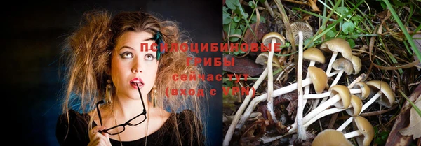 дживик Медвежьегорск