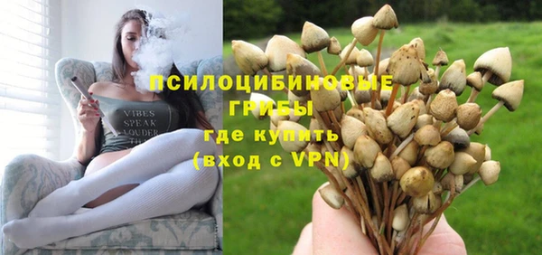 молекула духа Магадан
