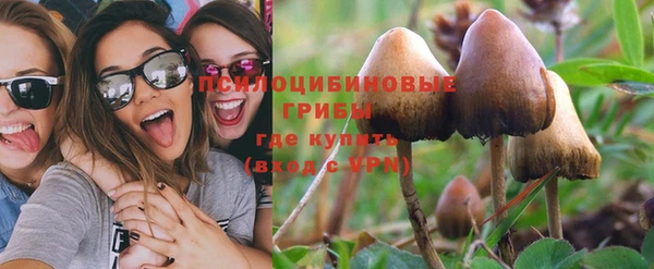 гидра Мегион